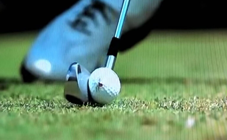 Snipaste 2026 03 16 13 47 02