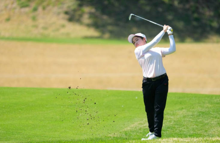 Snipaste 2026 04 11 21 35 04